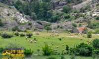 Stone Bridge - Zovich village, Mariovo Stone Bridge - Zovich village, Mariovo