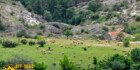Stone Bridge - Zovich village, Mariovo Stone Bridge - Zovich village, Mariovo