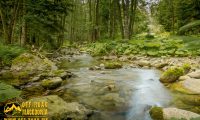 Mariovo - Wild Nature