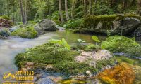 Mariovo - Wild Nature